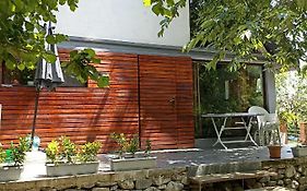 Woodland Paradise