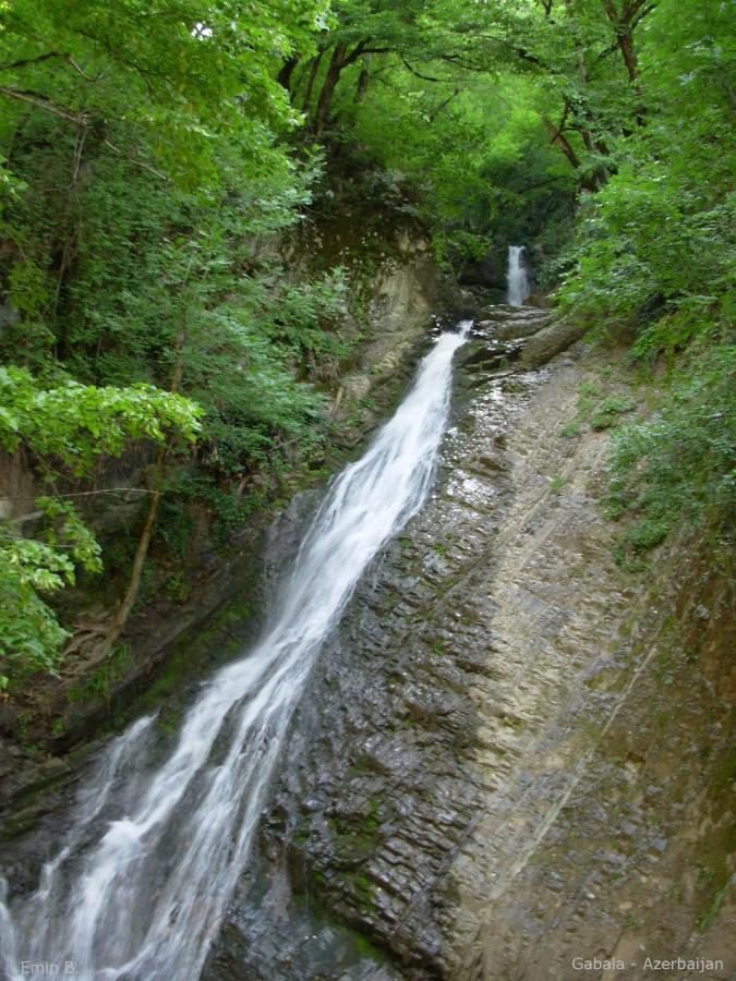 Woodland Paradise Габала Экстерьер фото